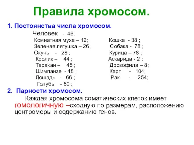 Правила хромосом. 1. Постоянства числа хромосом. Человек - 46; Комнатная муха