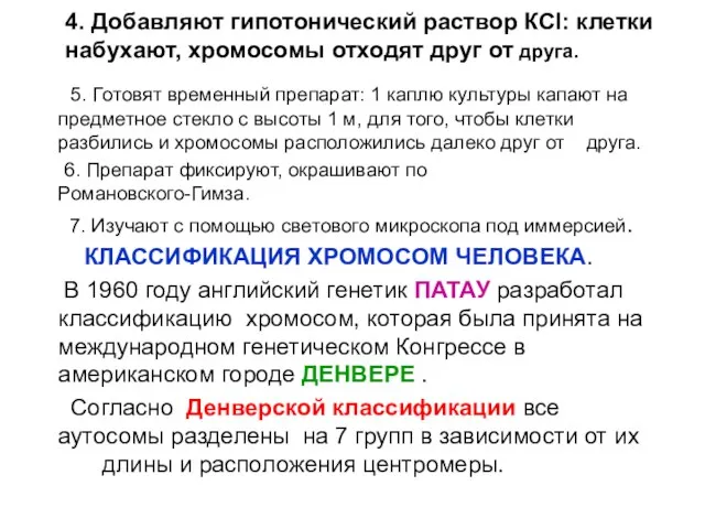 4. Добавляют гипотонический раствор КСl: клетки набухают, хромосомы отходят друг от