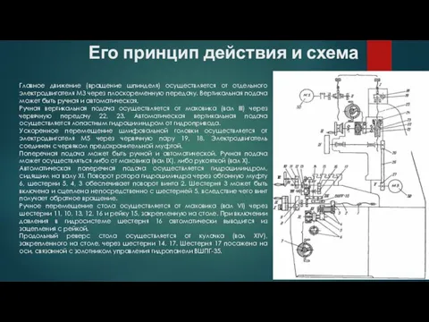 Главное движение (вращение шпинделя) осуществляется от отдельного электродвигателя МЗ через плоскоременную