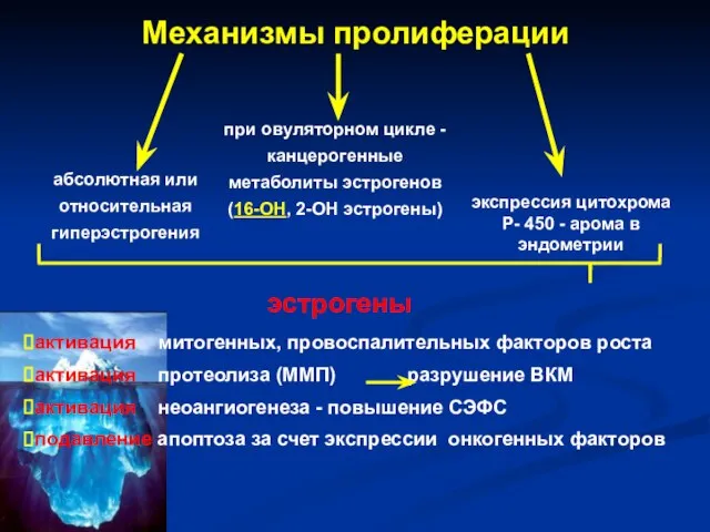 Механизмы пролиферации абсолютная или относительная гиперэстрогения экспрессия цитохрома Р- 450 -