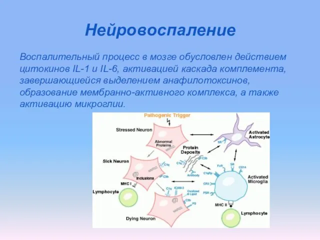 Нейровоспаление Воспалительный процесс в мозге обусловлен действием цитокинов IL-1 и IL-6,