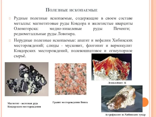 Полезные ископаемые Рудные полезные ископаемые, содержащие в своем составе металлы: магнетитовые