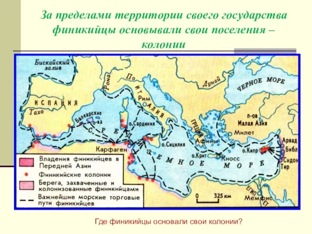 За пределами территории своего государства финикийцы основывали свои поселения – колонии Где финикийцы основали свои колонии?