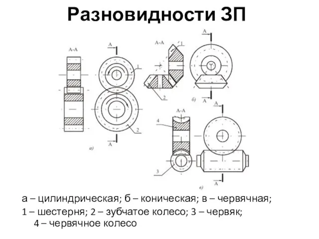 Разновидности ЗП а – цилиндрическая; б – коническая; в – червячная;