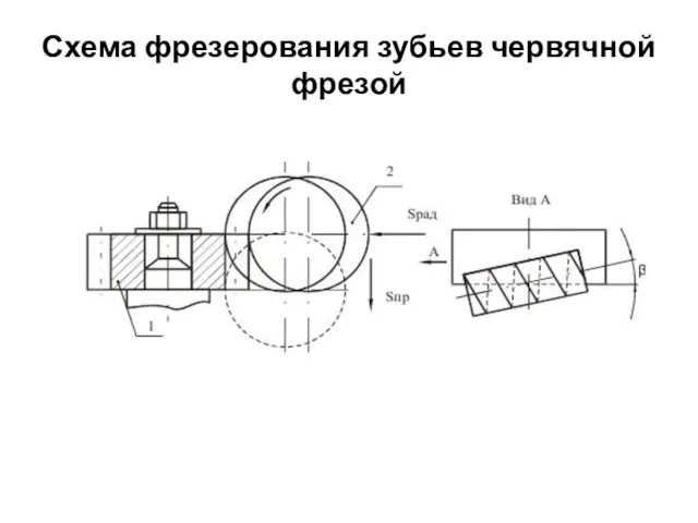 Схема фрезерования зубьев червячной фрезой