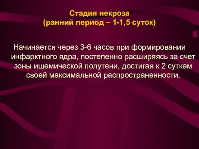 Стадия некроза (ранний период – 1-1,5 суток) Начинается через 3-6 часов