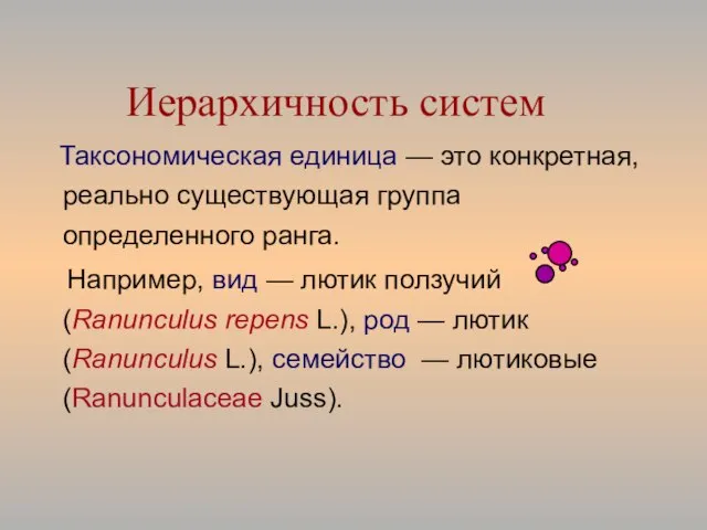 Иерархичность систем Таксономическая единица — это конкретная, реально существующая группа определенного