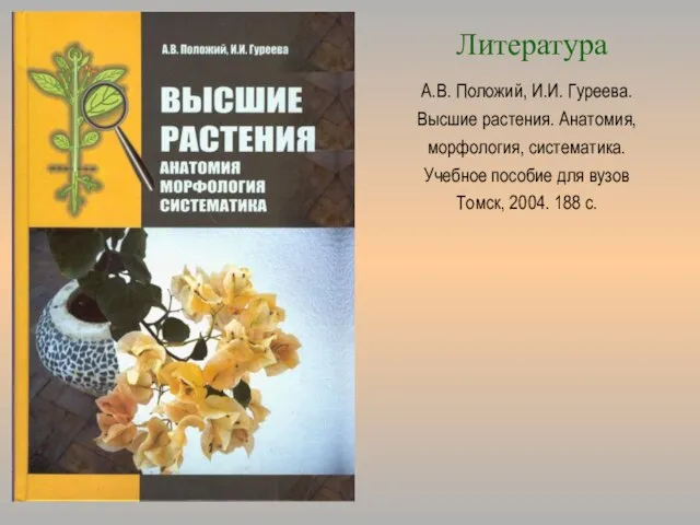 А.В. Положий, И.И. Гуреева. Высшие растения. Анатомия, морфология, систематика. Учебное пособие