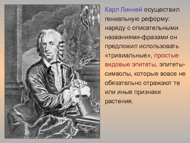 linn.tif Карл Линней осуществил гениальную реформу: наряду с описательными названиями-фразами он