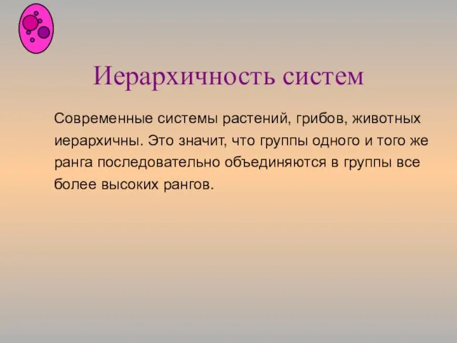 Иерархичность систем Современные системы растений, грибов, животных иерархичны. Это значит, что