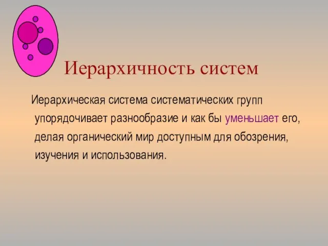 Иерархичность систем Иерархическая система систематических групп упорядочивает разнообразие и как бы