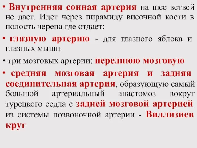 Внутренняя сонная артерия на шее ветвей не дает. Идет через пирамиду