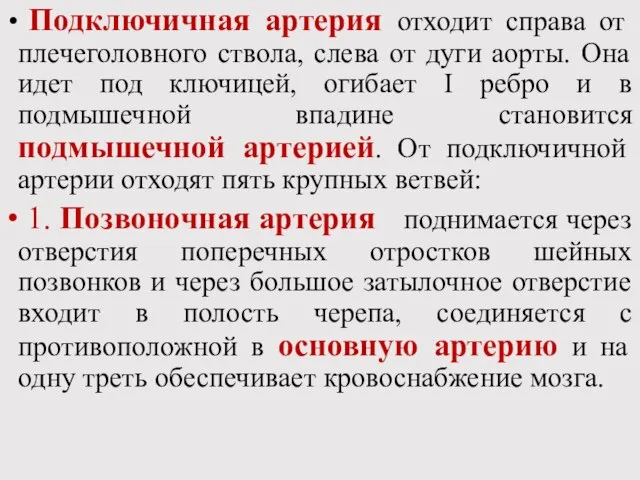 Подключичная артерия отходит справа от плечеголовного ствола, слева от дуги аорты.