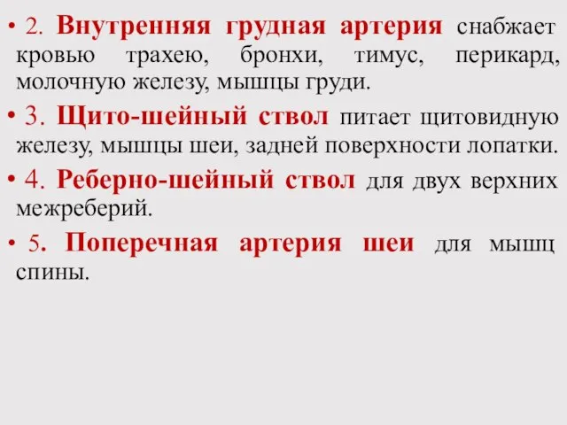 2. Внутренняя грудная артерия снабжает кровью трахею, бронхи, тимус, перикард, молочную