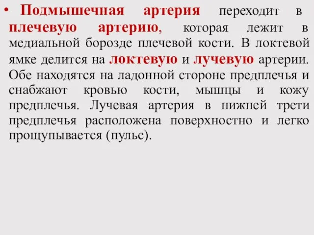 Подмышечная артерия переходит в плечевую артерию, которая лежит в медиальной борозде