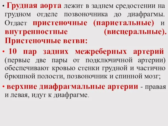 Грудная аорта лежит в заднем средостении на грудном отделе позвоночника до