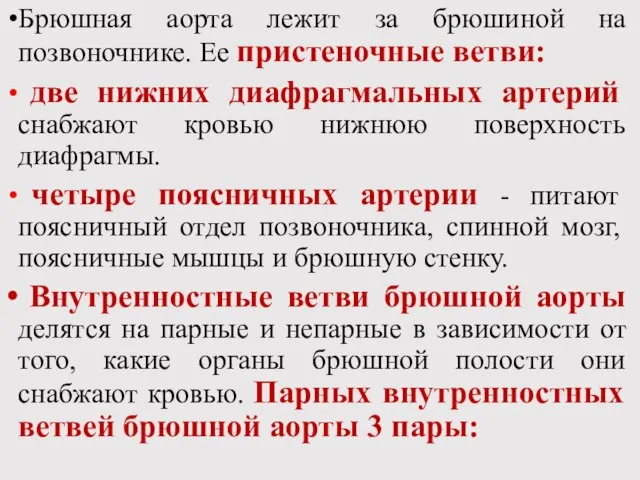 Брюшная аорта лежит за брюшиной на позвоночнике. Ее пристеночные ветви: две