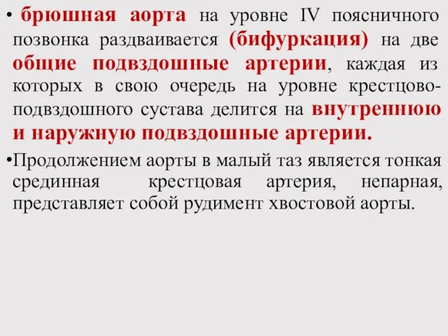 брюшная аорта на уровне IV поясничного позвонка раздваивается (бифуркация) на две