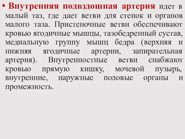 Внутренняя подвздошная артерия идет в малый таз, где дает ветви для