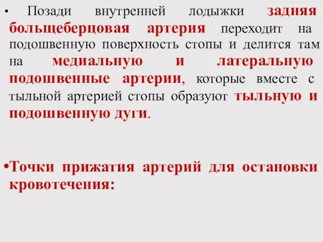 Позади внутренней лодыжки задняя больщеберцовая артерия переходит на подошвенную поверхность стопы