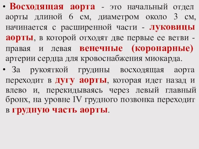 Восходящая аорта - это начальный отдел аорты длиной 6 см, диаметром