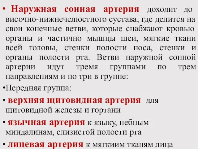 Наружная сонная артерия доходит до височно-нижнечелюстного сустава, где делится на свои