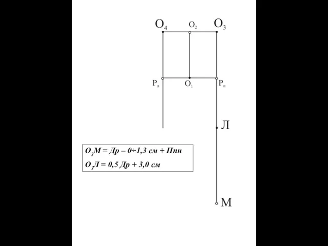 О3М = Др – 0÷1,3 см + Ппн О3Л = 0,5 Др + 3,0 см