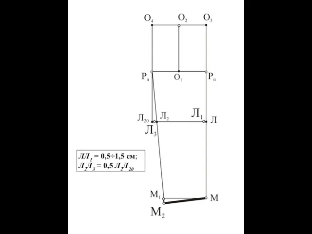 ЛЛ1 = 0,5÷1,5 см; Л2Л3 = 0,5 Л2Л20