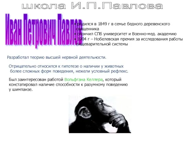 школа И.П.Павлова Иван Петрович Павлов родился в 1849 г в семье