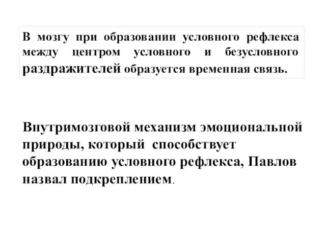 В мозгу при образовании условного рефлекса между центром условного и безусловного