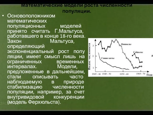 Математические модели роста численности популяции. Основоположником математических популяционных моделей принято считать