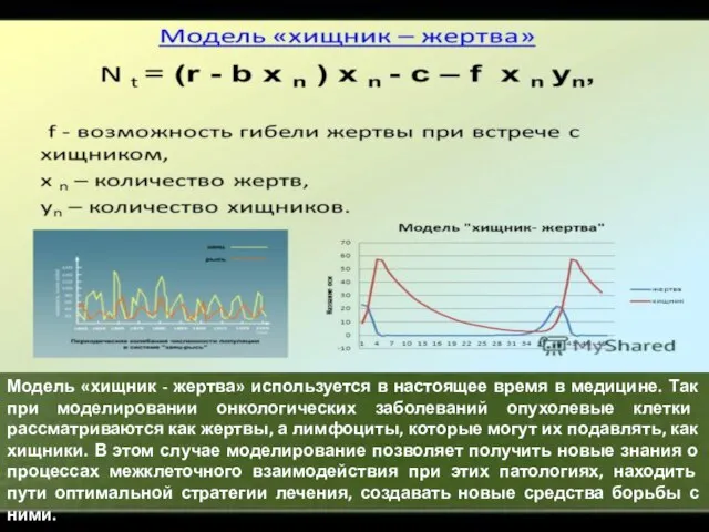 Модель «хищник - жертва» используется в настоящее время в медицине. Так