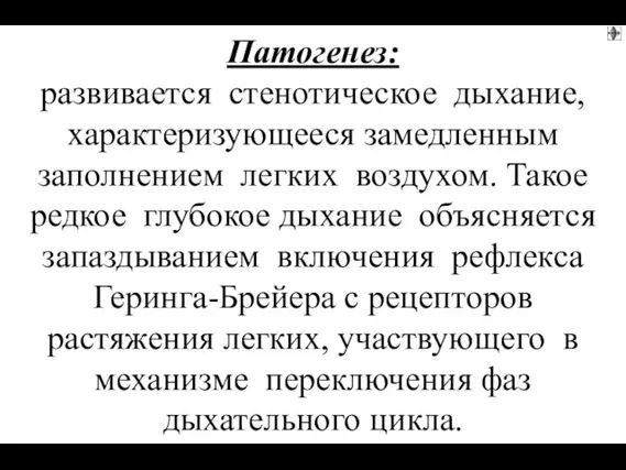 Патогенез: развивается стенотическое дыхание, характеризующееся замедленным заполнением легких воздухом. Такое редкое