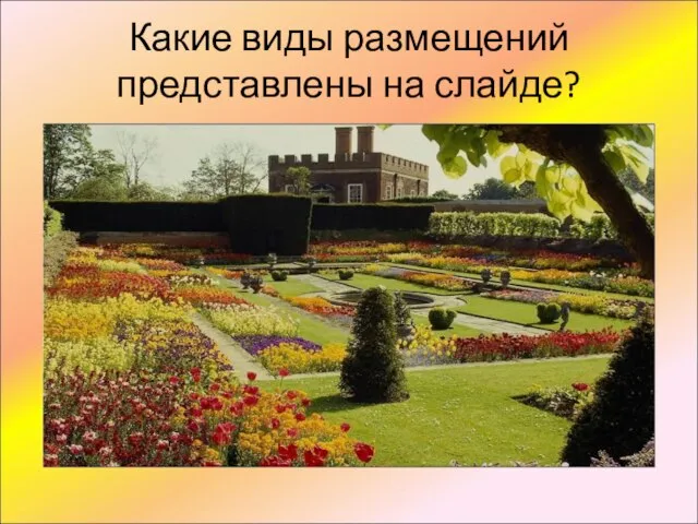 Какие виды размещений представлены на слайде?