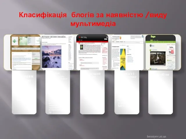 Класифікація блогів за наявністю /виду мультимедіа leontyev.at.ua