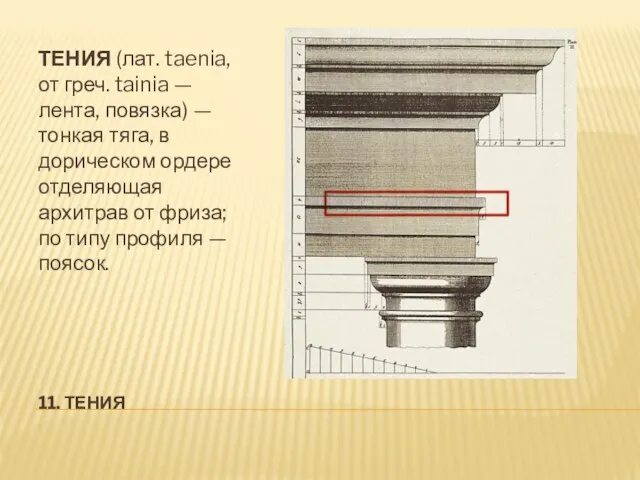 11. ТЕНИЯ ТЕНИЯ (лат. taenia, от греч. tainia — лента, повязка)