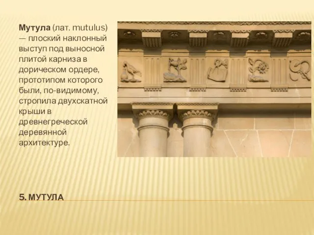 5. МУТУЛА Мутула (лат. mutulus) — плоский наклонный выступ под выносной