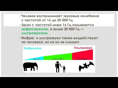 Человек воспринимает звуковые колебания с частотой от 16 до 20 000