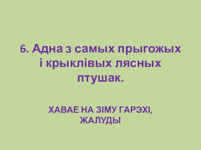 6. Адна з самых прыгожых і крыклівых лясных птушак. ХАВАЕ НА ЗІМУ ГАРЭХІ, ЖАЛУДЫ