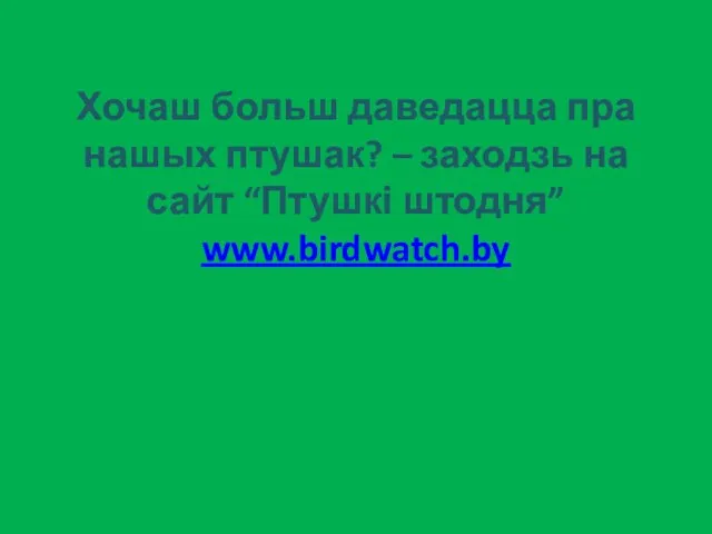 Хочаш больш даведацца пра нашых птушак? – заходзь на сайт “Птушкі штодня” www.birdwatch.by