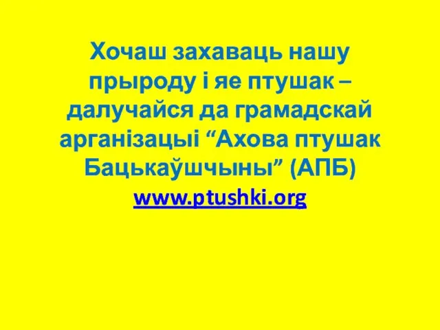 Хочаш захаваць нашу прыроду і яе птушак – далучайся да грамадскай