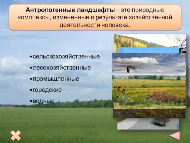 сельскохозяйственные лесохозяйственные промышленные городские водные Антропогенные ландшафты Антропогенные ландшафты – это