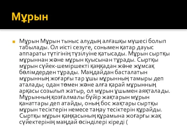 Мұрын Мұрын Мұрын тыныс алудың алғашқы мүшесі болып табылады. Ол иісті