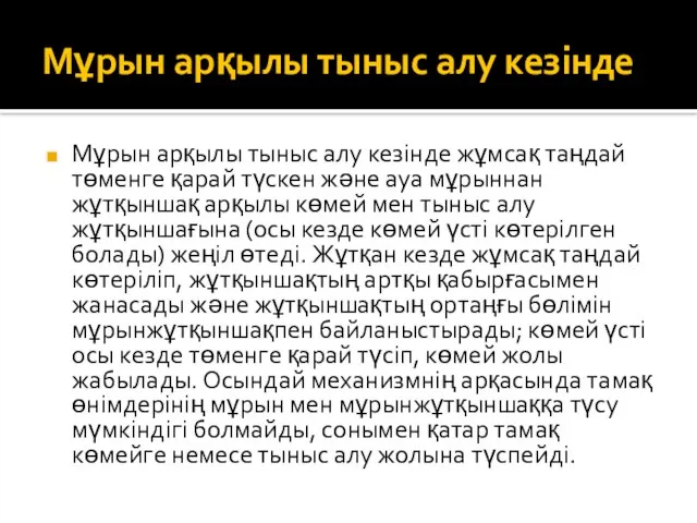 Мұрын арқылы тыныс алу кезінде Мұрын арқылы тыныс алу кезінде жұмсақ