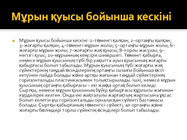 Мұрын қуысы бойынша кескіні Мұрын қуысы бойынша кескіні: 1–төменгі қалқан; 2–ортаңғы