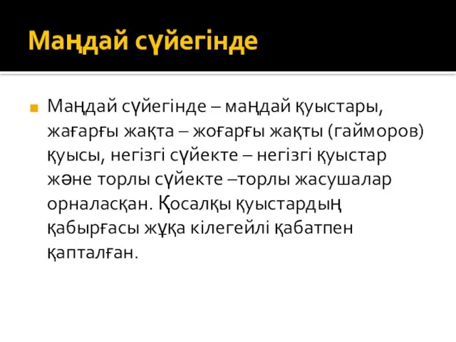 Маңдай сүйегінде Маңдай сүйегінде – маңдай қуыстары, жағарғы жақта – жоғарғы