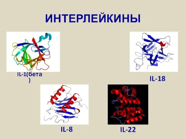 ИНТЕРЛЕЙКИНЫ IL-1(бета) IL-18 IL-22 IL-8