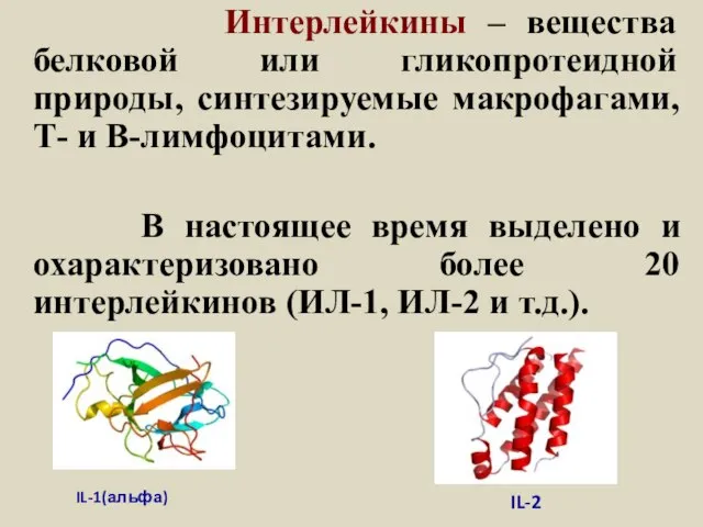 Интерлейкины – вещества белковой или гликопротеидной природы, синтезируемые макрофагами, Т- и