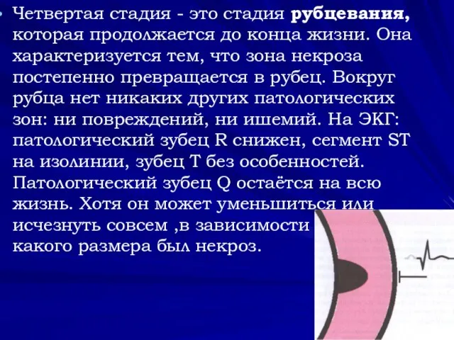 Четвертая стадия - это стадия рубцевания, которая продолжается до конца жизни.