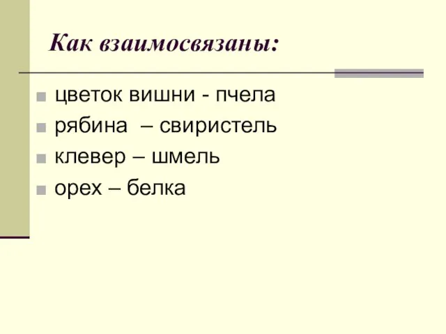 Как взаимосвязаны: цветок вишни - пчела рябина – свиристель клевер – шмель орех – белка